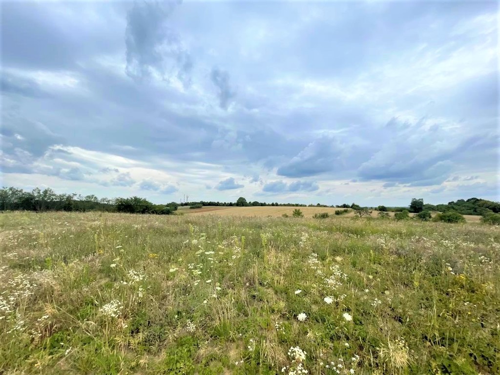 Działka na sprzedaż Gryfino 997 m2 | Arka Nieruchomości