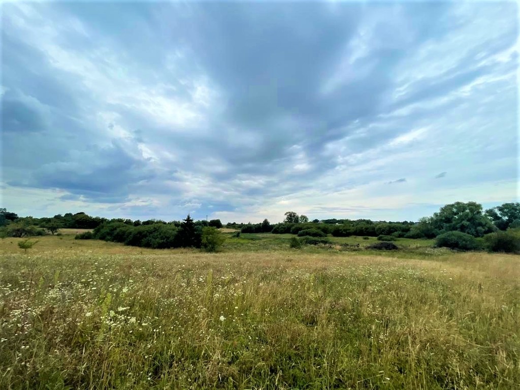 Działka na sprzedaż Gryfino 997 m2 | Arka Nieruchomości
