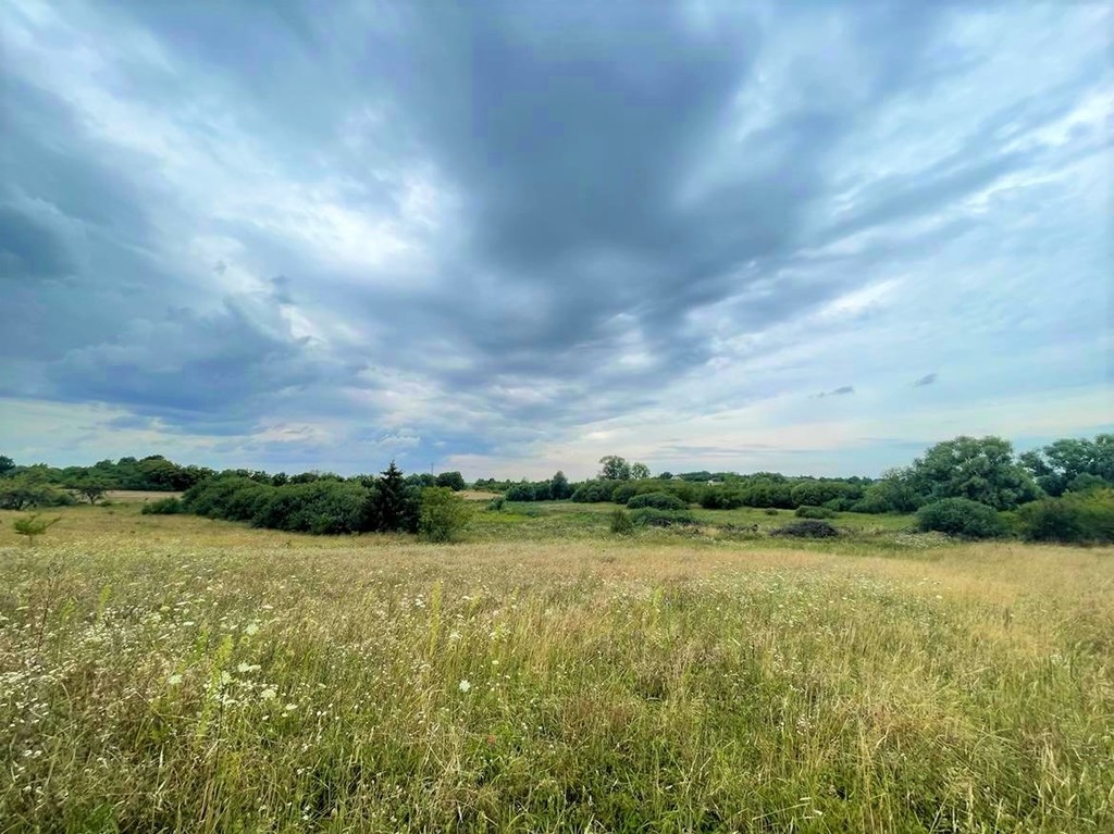 Działka na sprzedaż Gryfino 997 m2 | Arka Nieruchomości