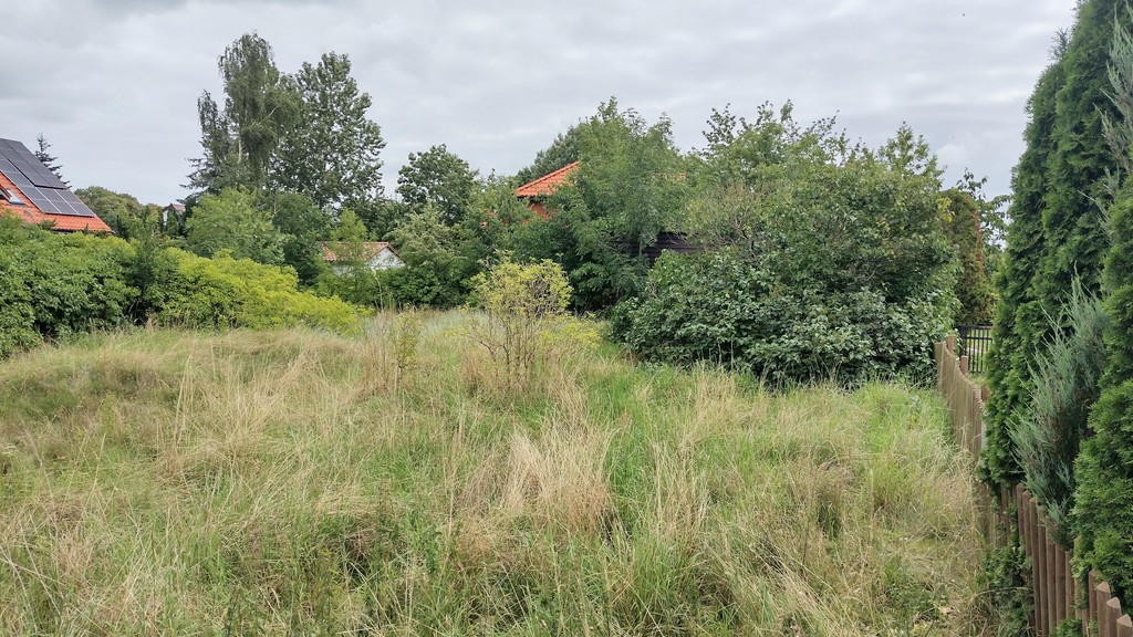 Działka na sprzedaż Nowe Warpno 1 164 m2 | Arka Nieruchomości