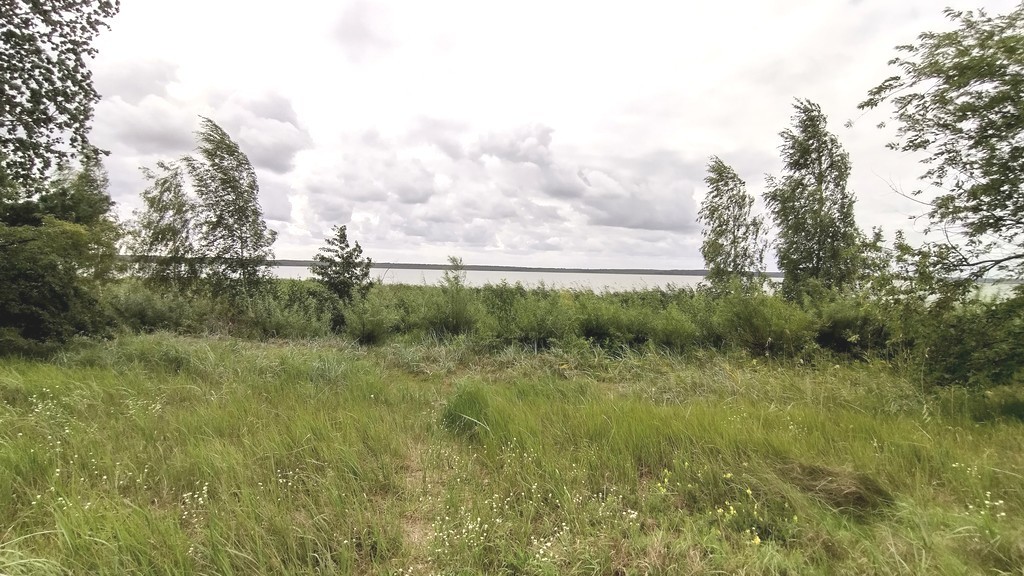 Działka na sprzedaż Nowe Warpno 1 164 m2 | Arka Nieruchomości