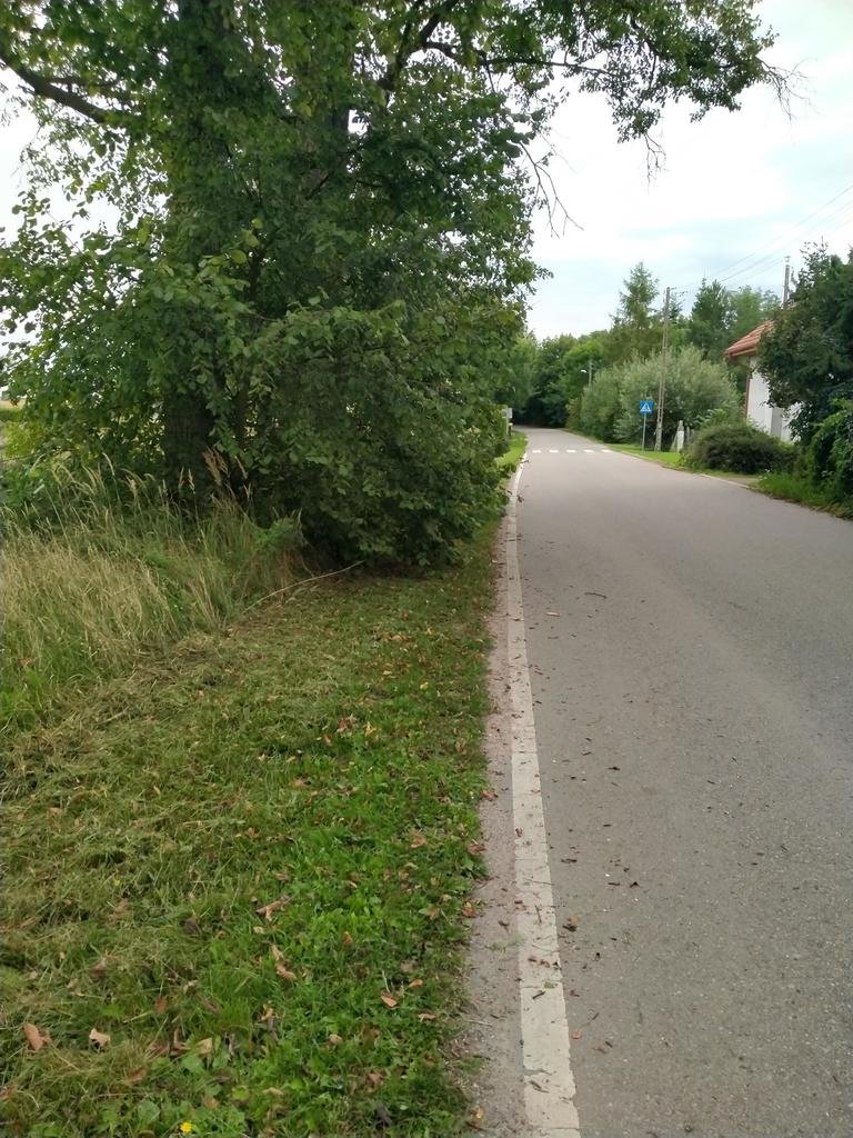 Działka na sprzedaż Czarnowo 4 211 m2 | Arka Nieruchomości