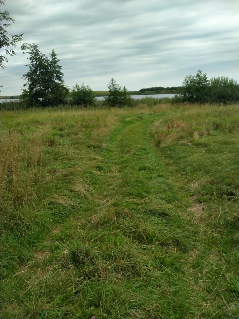 Działka na sprzedaż Czarnowo 4 211 m2 | Arka Nieruchomości