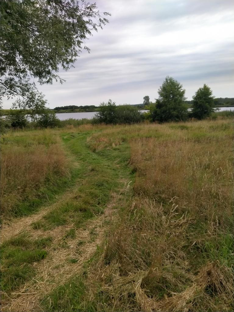 Działka na sprzedaż Czarnowo 4 211 m2 | Arka Nieruchomości