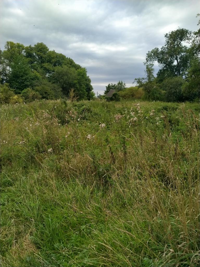 Działka na sprzedaż Czarnowo 4 211 m2 | Arka Nieruchomości