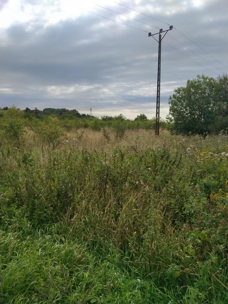 Działka na sprzedaż Pyrzyce 3 001 m2 | Arka Nieruchomości