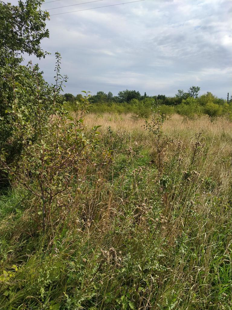 Działka na sprzedaż Pyrzyce 3 001 m2 | Arka Nieruchomości