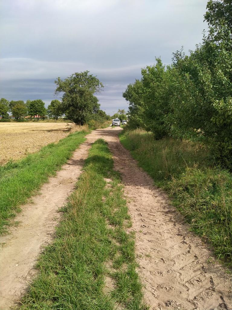 Działka na sprzedaż Pyrzyce 3 001 m2 | Arka Nieruchomości