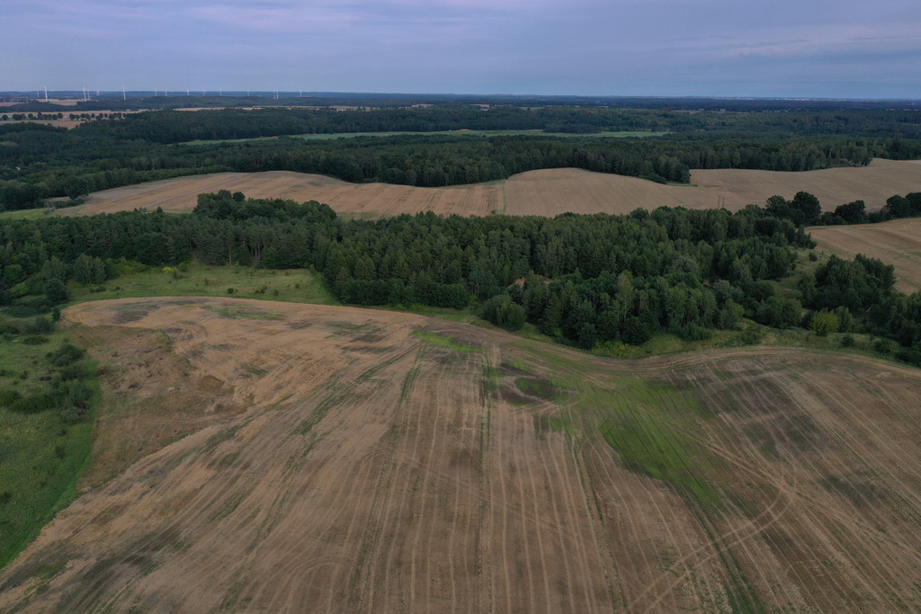 Działka na sprzedaż Prusinowo 4 m2 | Arka Nieruchomości