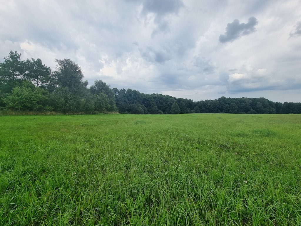 Dom na sprzedaż Wierzchówko 140 m2 | Arka Nieruchomości