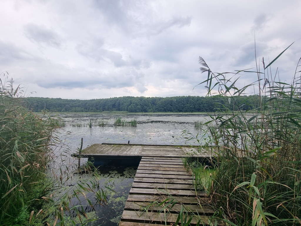 Dom na sprzedaż Wierzchówko 140 m2 | Arka Nieruchomości