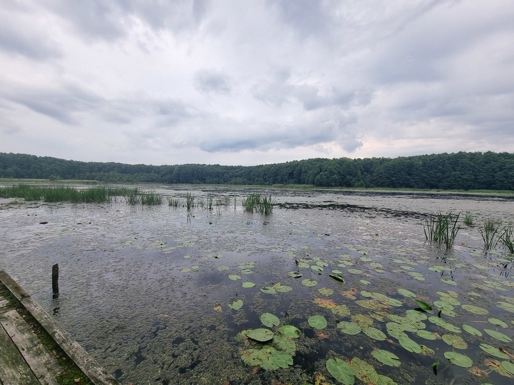 Dom na sprzedaż Wierzchówko 140 m2 | Arka Nieruchomości