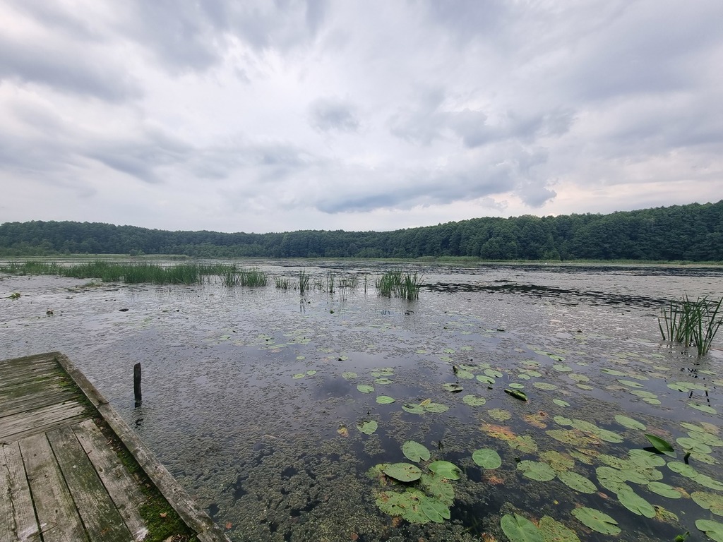 Dom na sprzedaż Wierzchówko 140 m2 | Arka Nieruchomości