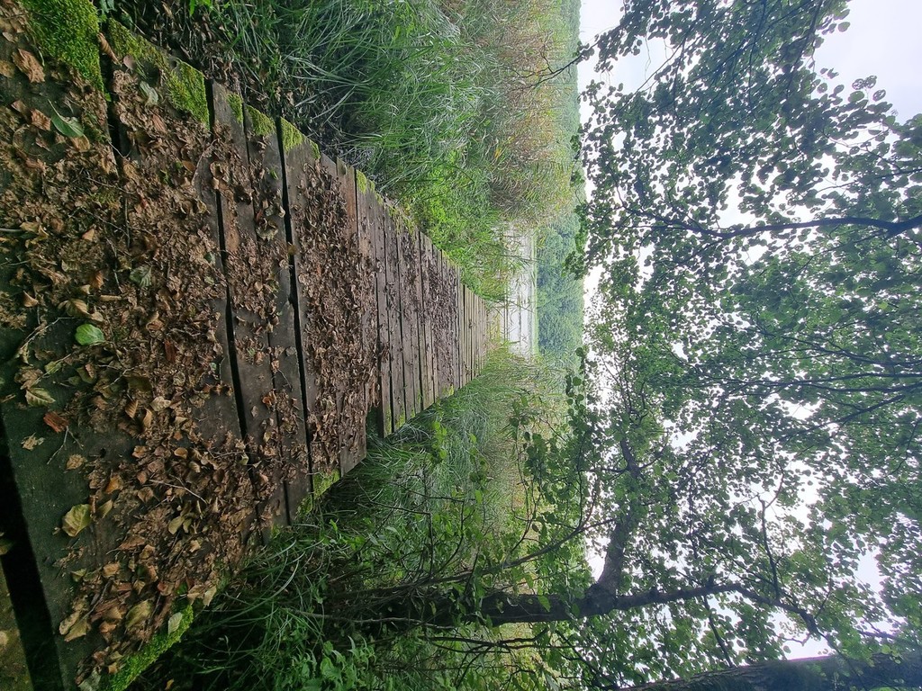 Dom na sprzedaż Wierzchówko 140 m2 | Arka Nieruchomości