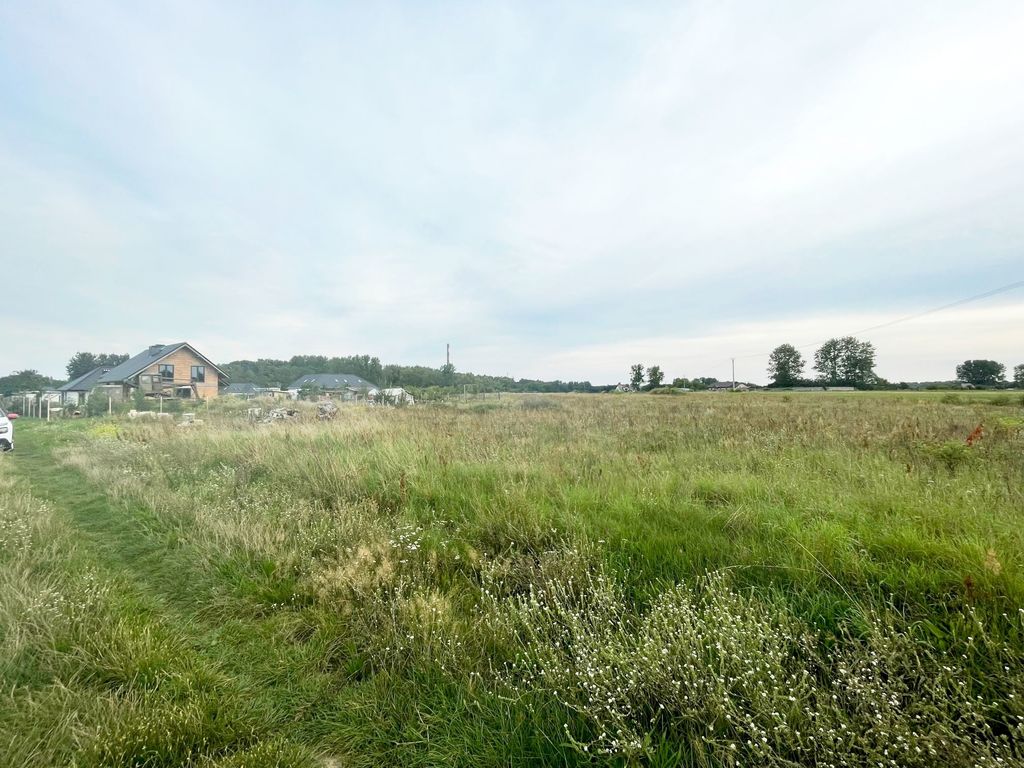 Działka na sprzedaż Wieńkowo 6 002 m2 | Arka Nieruchomości