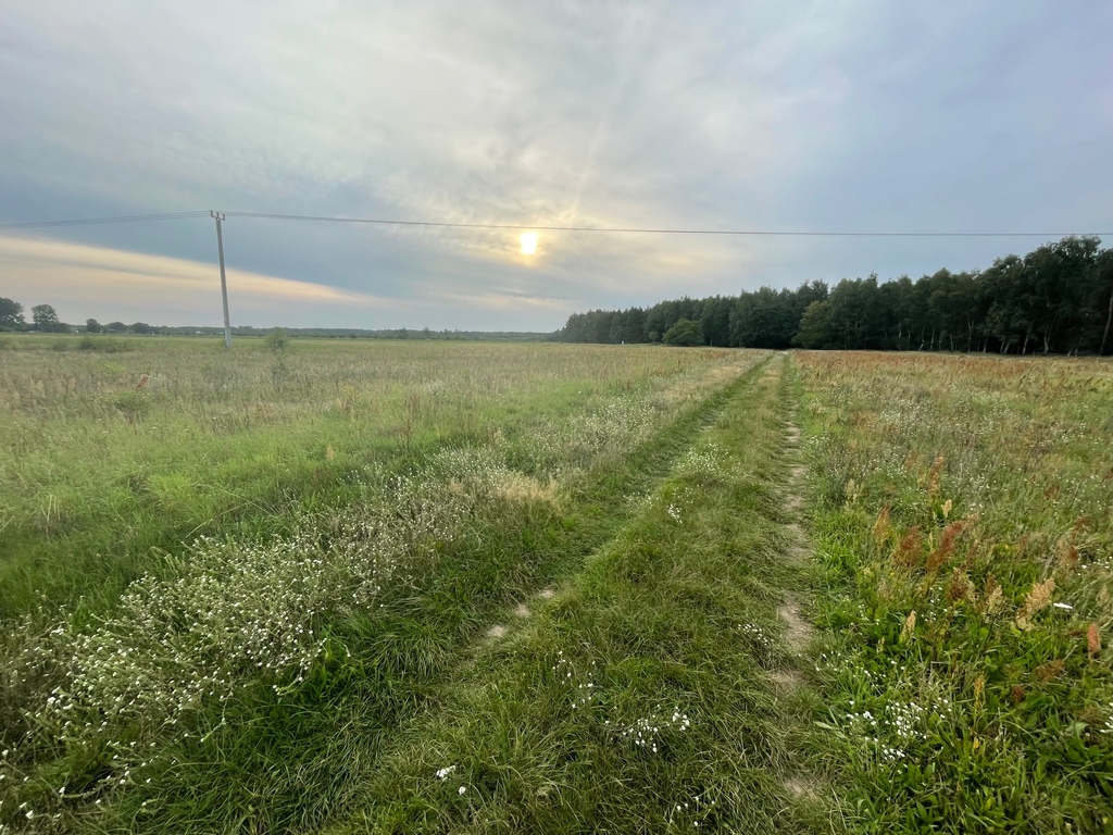 Działka na sprzedaż Wieńkowo 6 002 m2 | Arka Nieruchomości