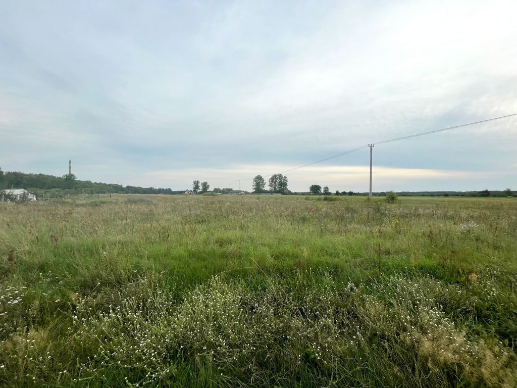 Działka na sprzedaż Wieńkowo 6 002 m2 | Arka Nieruchomości