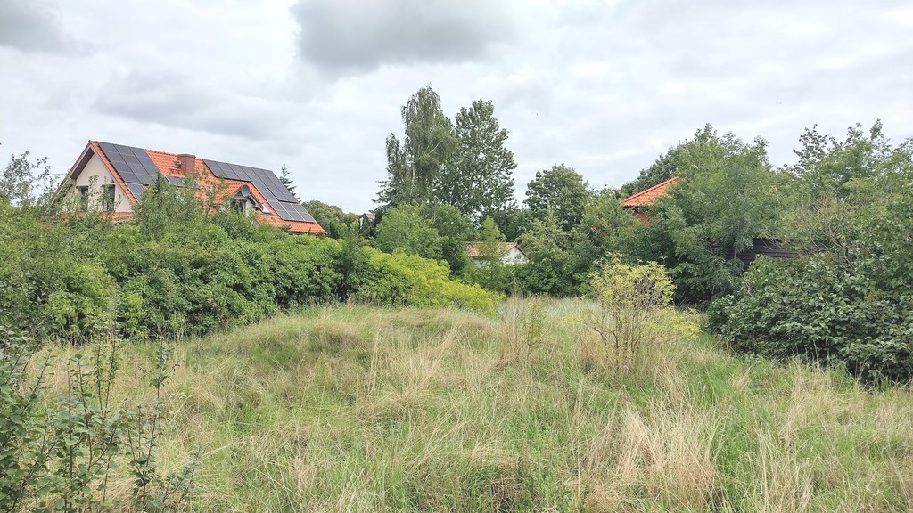 Działka na sprzedaż Nowe Warpno 1 164 m2 | Arka Nieruchomości
