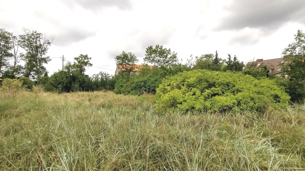 Działka na sprzedaż Nowe Warpno 1 164 m2 | Arka Nieruchomości