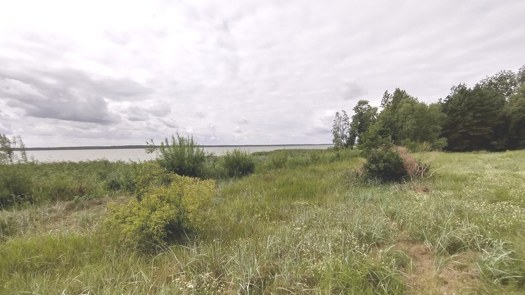 Działka na sprzedaż Nowe Warpno 1 164 m2 | Arka Nieruchomości