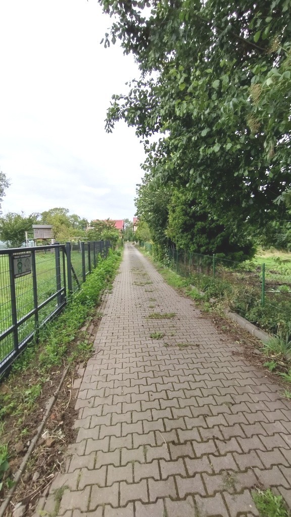 Działka na sprzedaż Nowe Warpno 1 164 m2 | Arka Nieruchomości