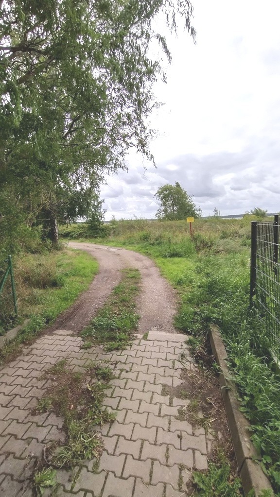 Działka na sprzedaż Nowe Warpno 1 164 m2 | Arka Nieruchomości