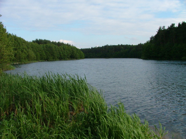 Działka na sprzedaż Żabin 596 m2 | Arka Nieruchomości