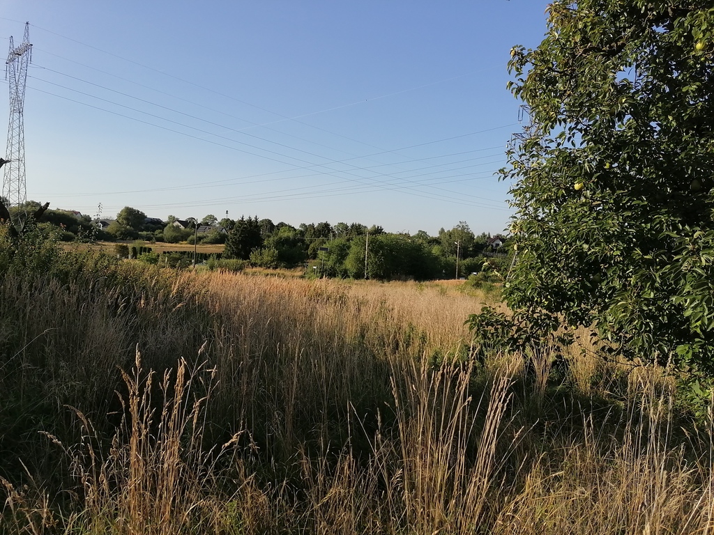 Działka na sprzedaż Mierzyn 1 176 m2 | Arka Nieruchomości