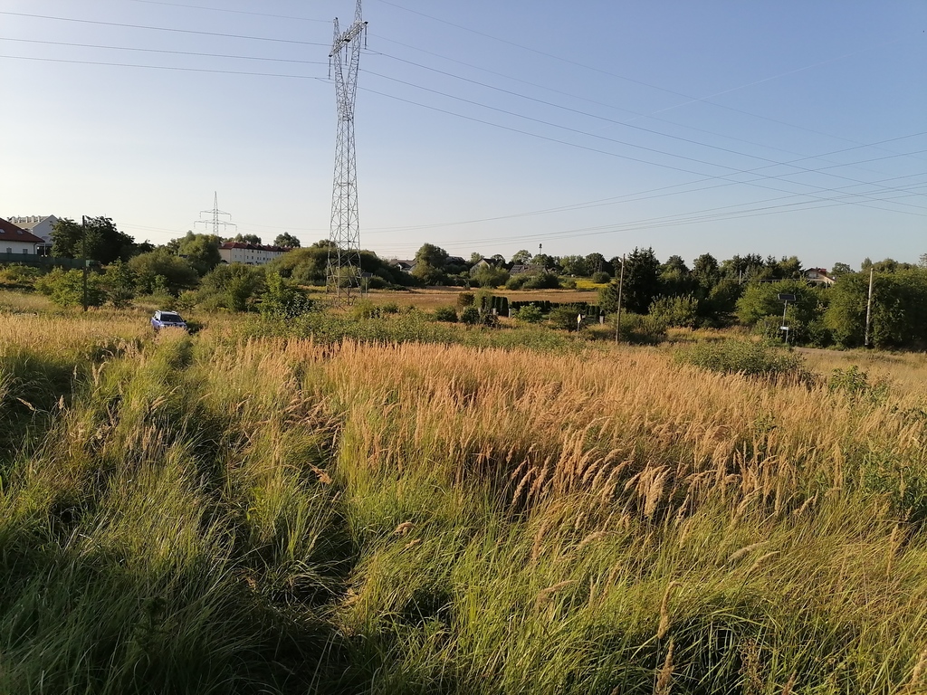 Działka na sprzedaż Mierzyn 1 176 m2 | Arka Nieruchomości