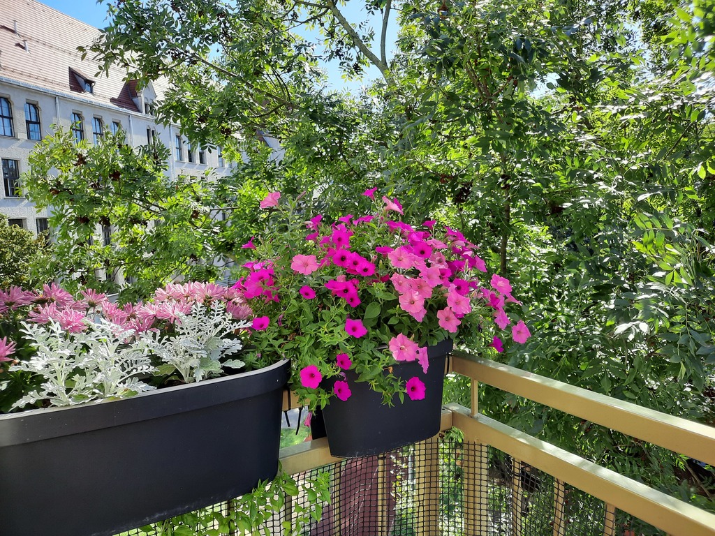 Mieszkanie na sprzedaż Szczecin, Śródmieście 48 m2 | Arka Nieruchomości