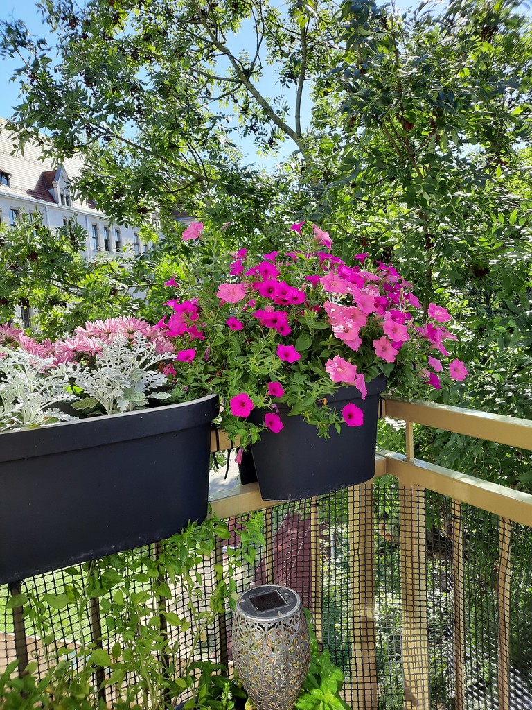 Mieszkanie na sprzedaż Szczecin, Śródmieście 48 m2 | Arka Nieruchomości