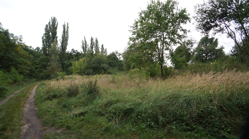 Działka na sprzedaż Szczecin, Podjuchy 768 m2 | Arka Nieruchomości