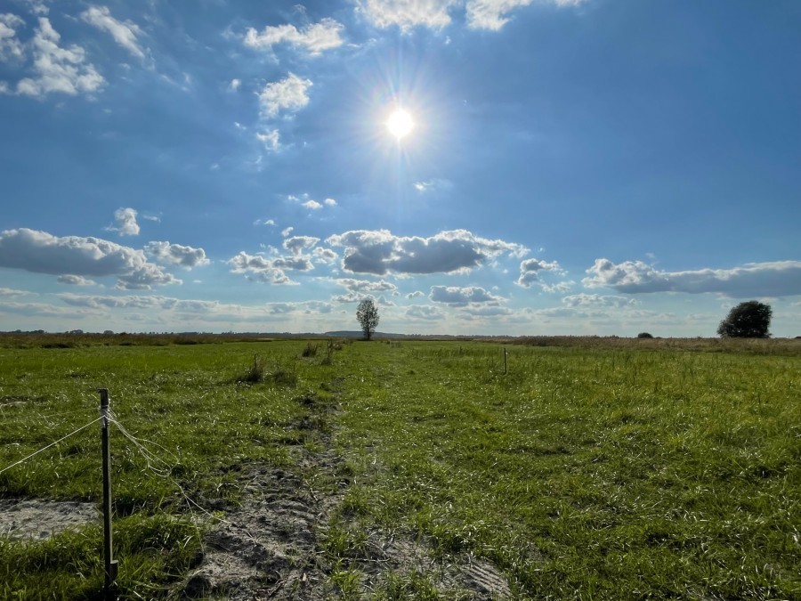 Działka na sprzedaż Wierzbno 500 m2 | Arka Nieruchomości