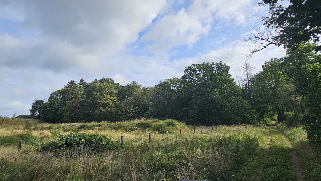 Działka na sprzedaż Niekładź 3 871 m2 | Arka Nieruchomości