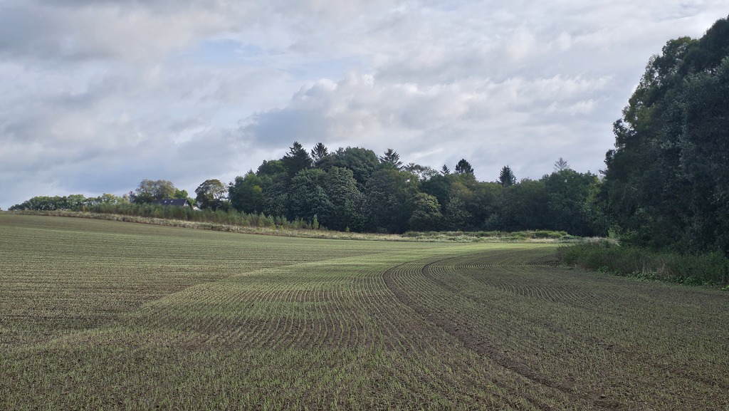 Działka na sprzedaż Niekładź 3 871 m2 | Arka Nieruchomości
