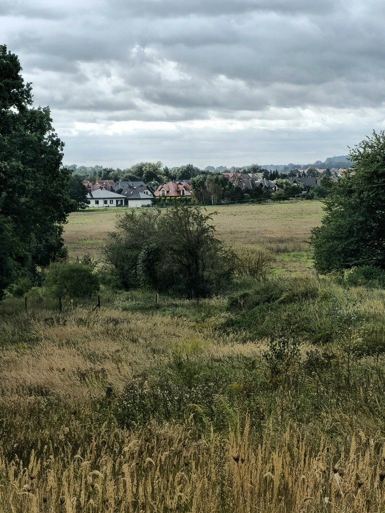 Działka na sprzedaż Niekładź 3 871 m2 | Arka Nieruchomości