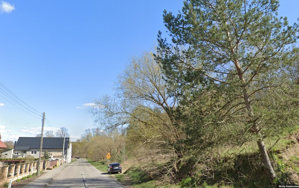 Działka na sprzedaż Radziszewo 4 733 m2 | Arka Nieruchomości