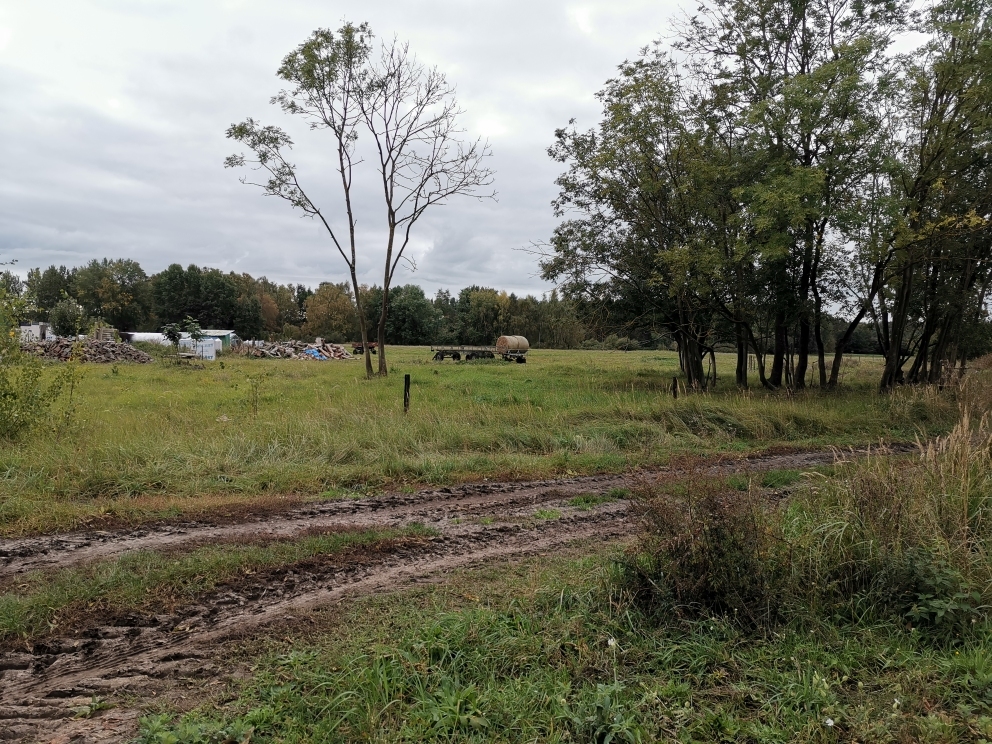Działka na sprzedaż Warnołęka 5 000 m2 | Arka Nieruchomości