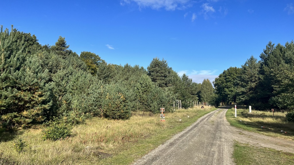 Działka na sprzedaż Brzózki 2 656 m2 | Arka Nieruchomości