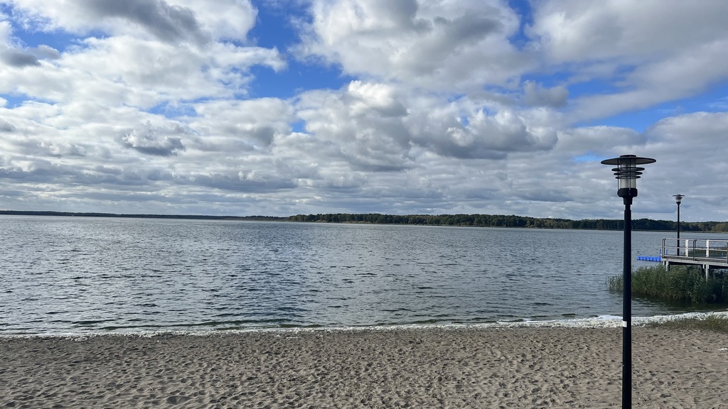 Działka na sprzedaż Brzózki 2 656 m2 | Arka Nieruchomości