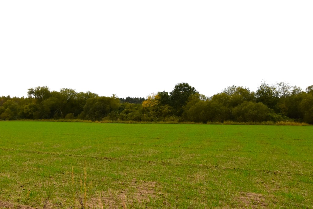 Działka na sprzedaż Police 1 479 m2 | Arka Nieruchomości