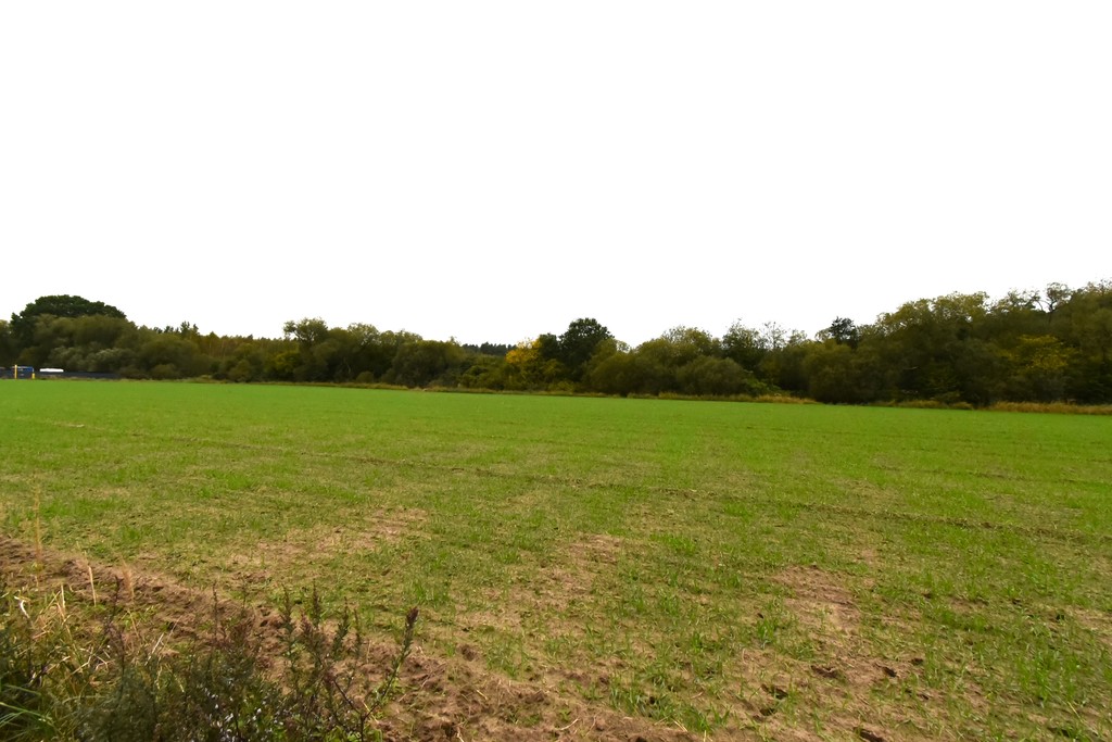 Działka na sprzedaż Police 1 479 m2 | Arka Nieruchomości