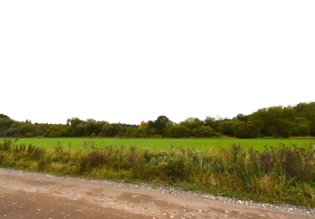 Działka na sprzedaż Police 1 479 m2 | Arka Nieruchomości