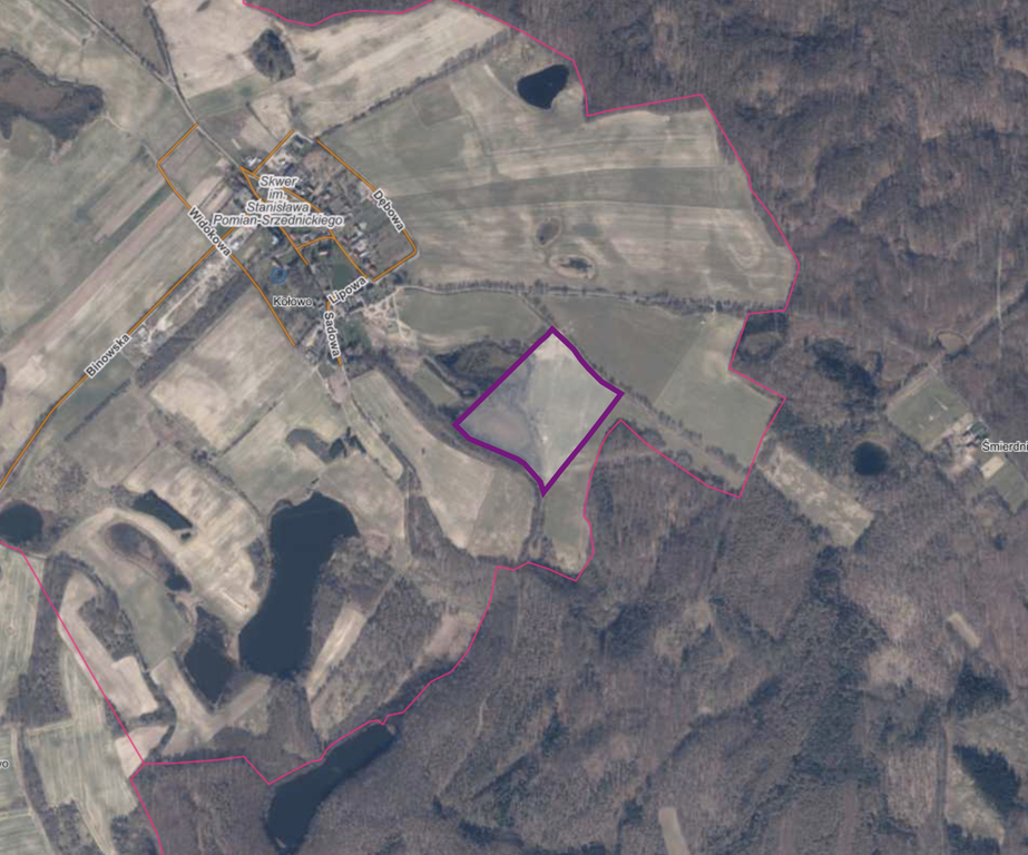 Działka na sprzedaż Kołowo 76 200 m2 | Arka Nieruchomości