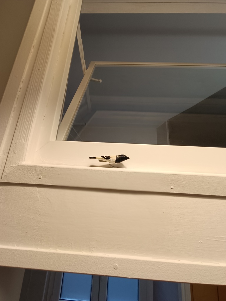 Mieszkanie na wynajem Szczecin, Śródmieście-Centrum 39 m2 | Arka Nieruchomości