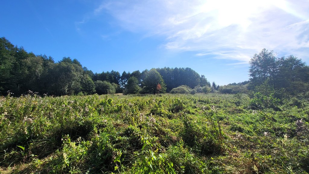 Działka na sprzedaż Staw 40 479 m2 | Arka Nieruchomości