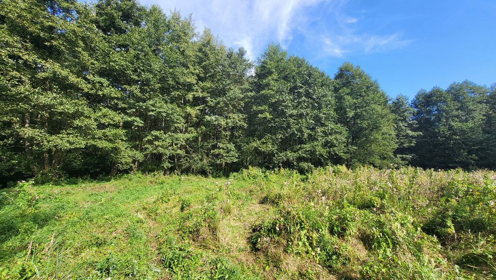 Działka na sprzedaż Staw 40 479 m2 | Arka Nieruchomości