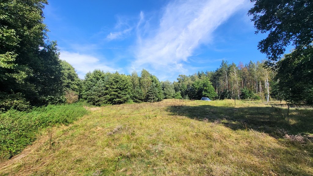 Działka na sprzedaż Staw 40 479 m2 | Arka Nieruchomości