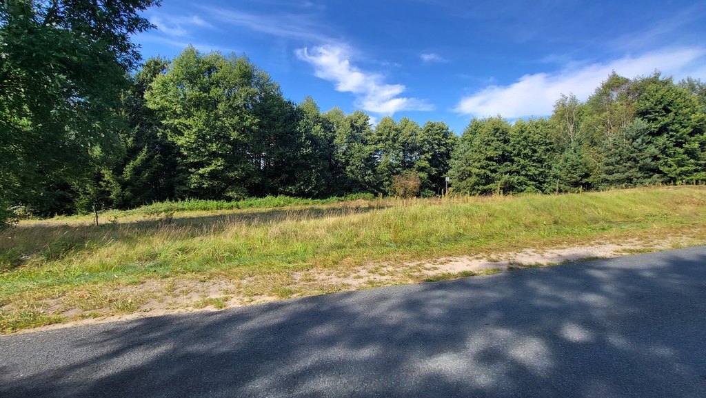 Działka na sprzedaż Staw 40 479 m2 | Arka Nieruchomości