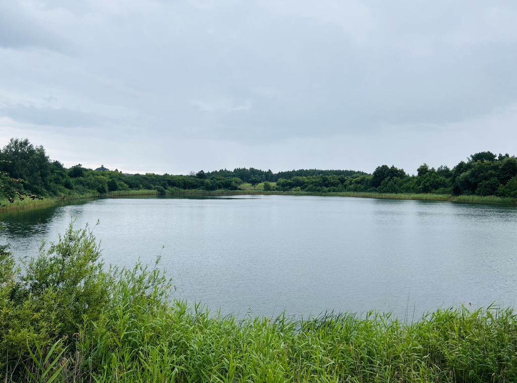 Działka na sprzedaż Kołczewo 3 005 m2 | Arka Nieruchomości